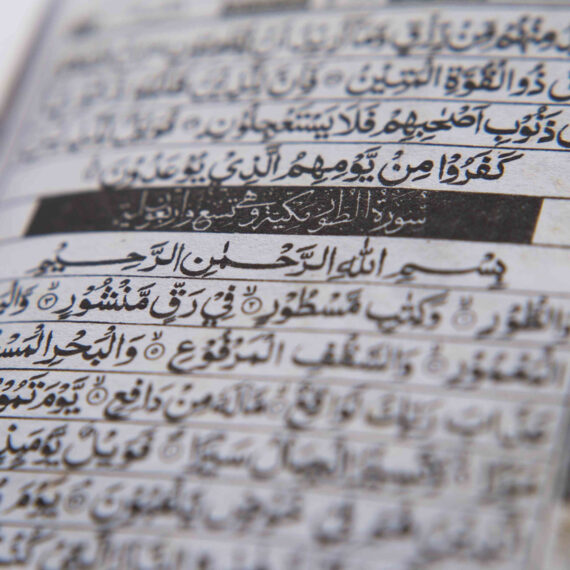 Arabic, MSA, Levantine, Maghrebii, Egyptian, Iraqi, Gulf, Modern Standard Arabic