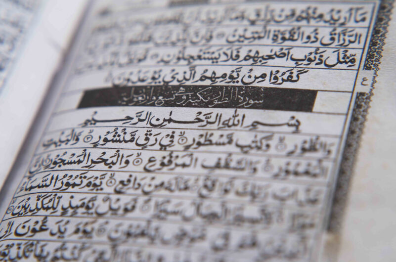 Arabic, MSA, Levantine, Maghrebii, Egyptian, Iraqi, Gulf, Modern Standard Arabic