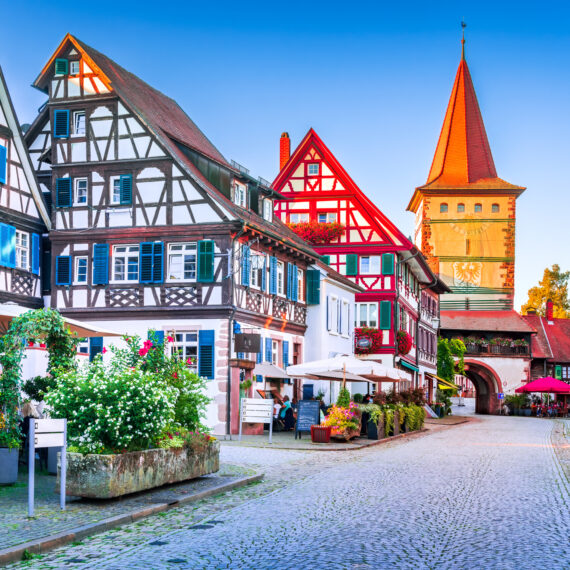 German, Austria, Germany, Switzerland