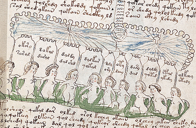 Voynich manuscript